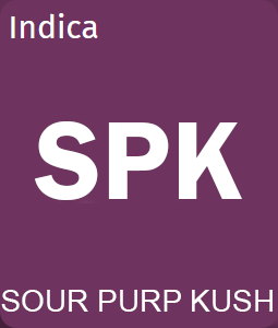 Sour Purple Kush